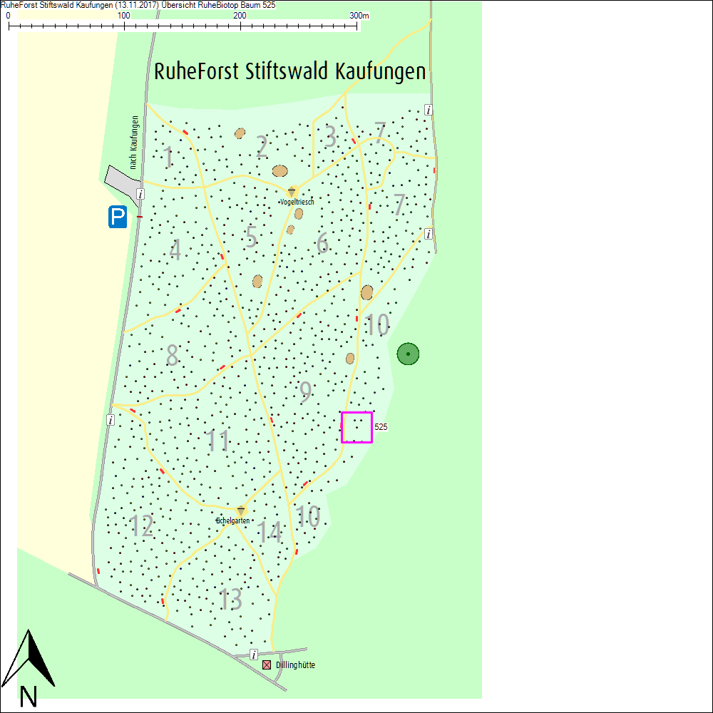 &Uuml;bersichtskarte zu Baum 525