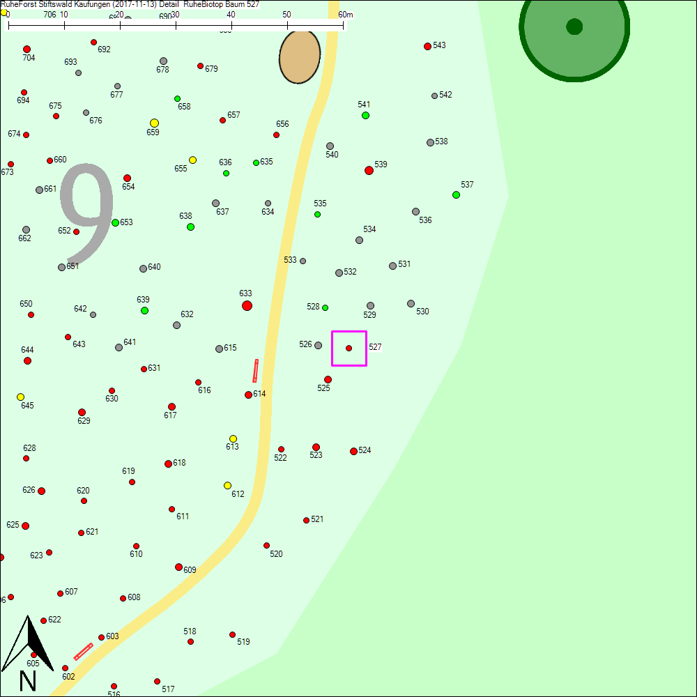 Detailkarte zu Baum 527