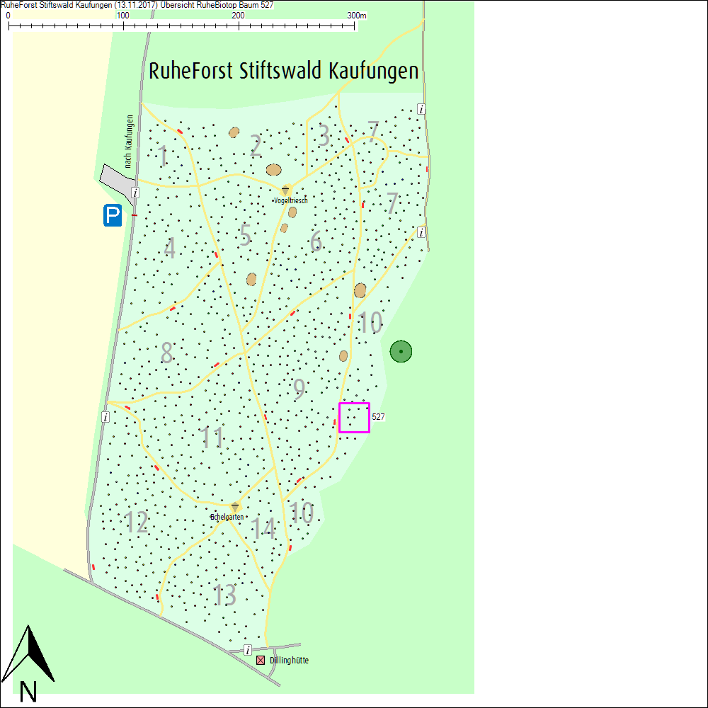 &Uuml;bersichtskarte zu Baum 527