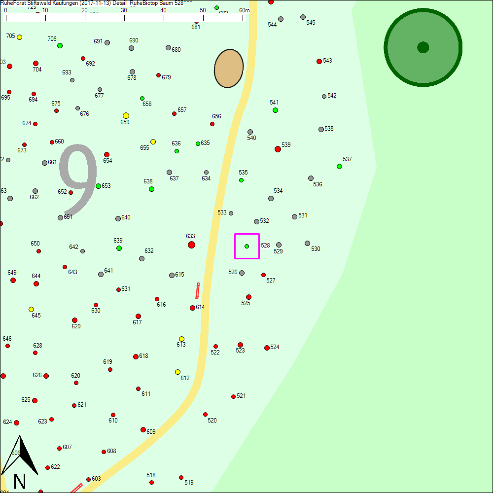 Detailkarte zu Baum 528