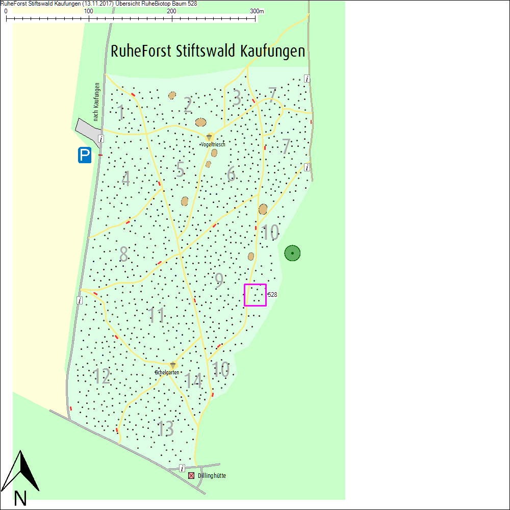 &Uuml;bersichtskarte zu Baum 528