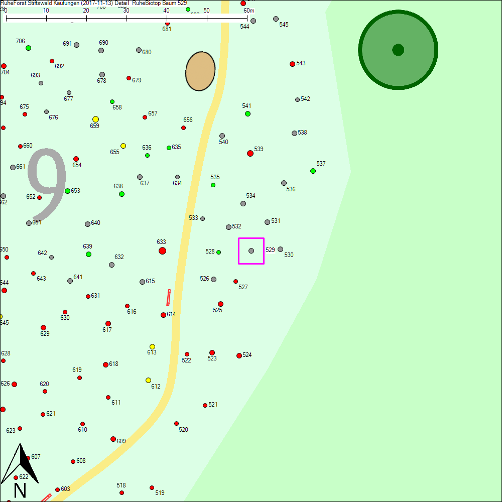 Detailkarte zu Baum 529