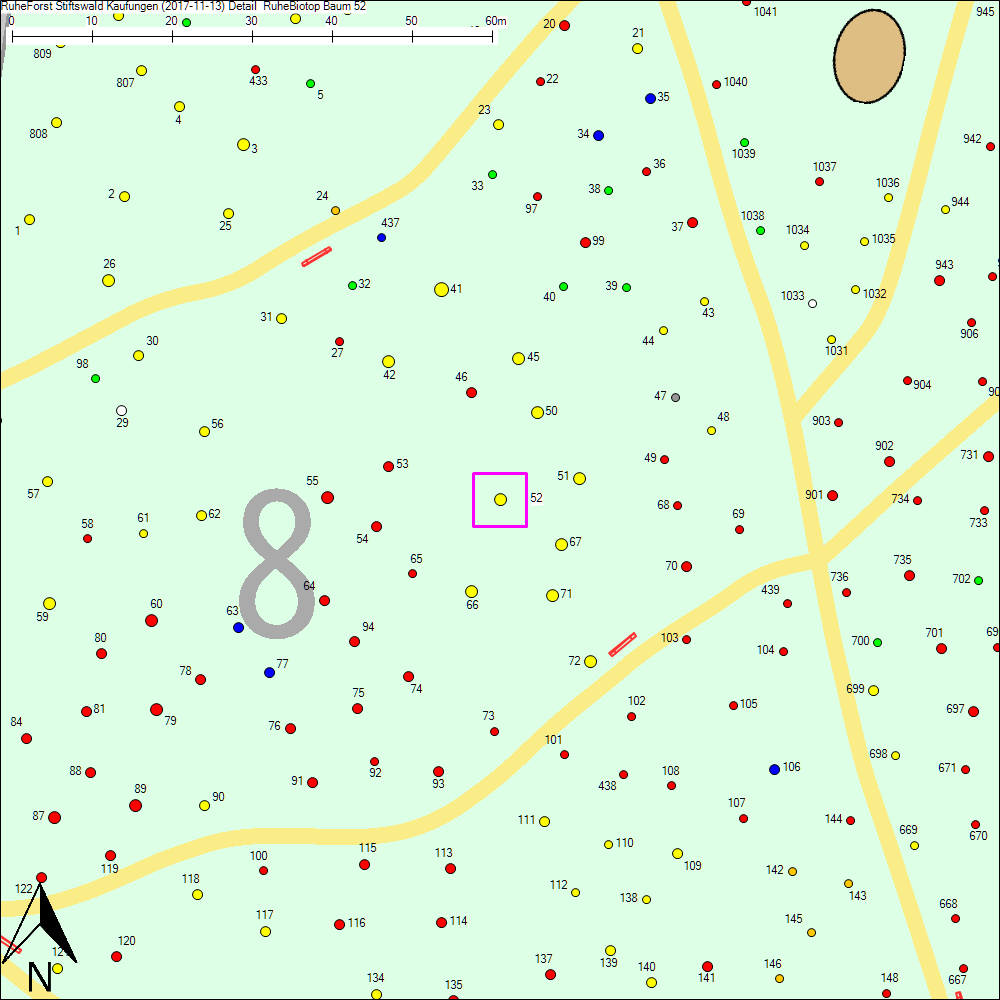 Detailkarte zu Baum 52