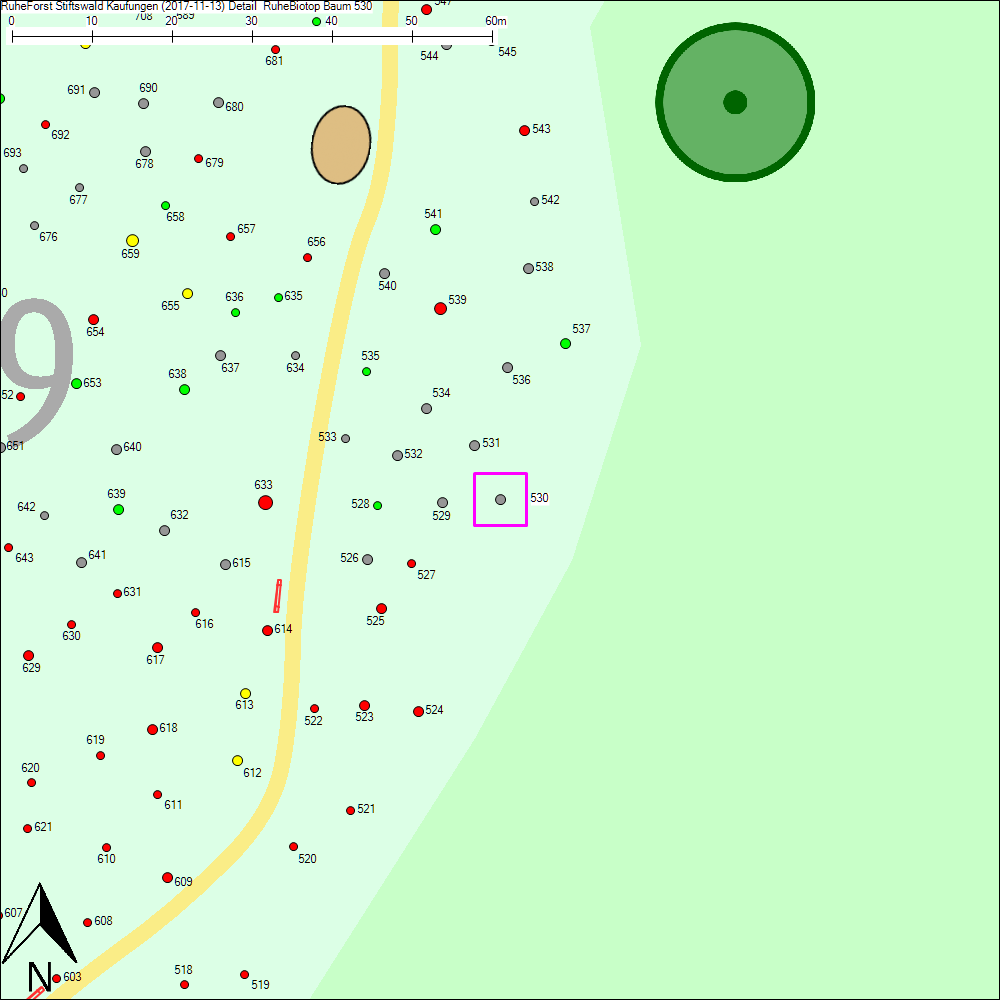 Detailkarte zu Baum 530