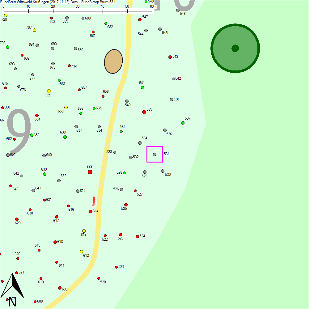 Detailkarte zu Baum 531