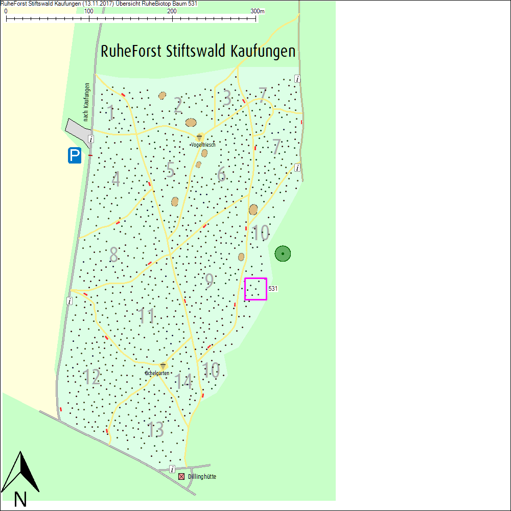 &Uuml;bersichtskarte zu Baum 531