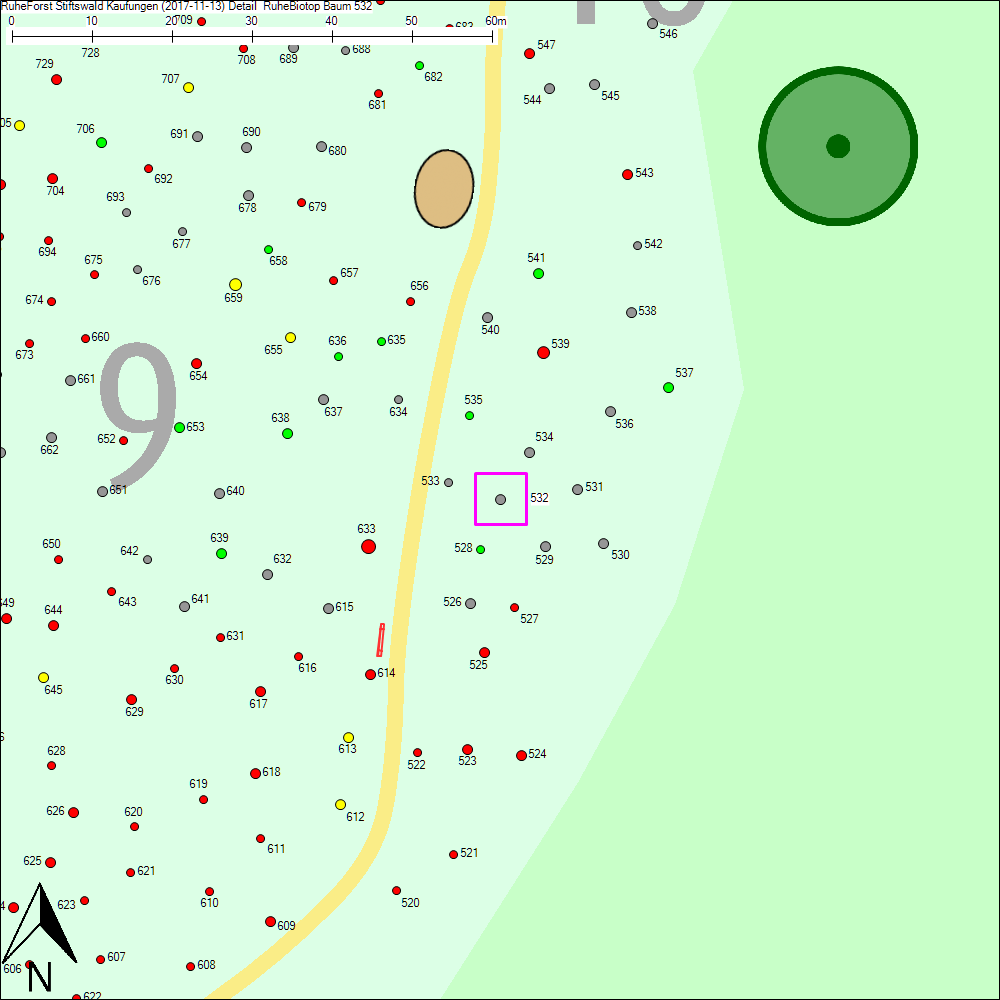 Detailkarte zu Baum 532