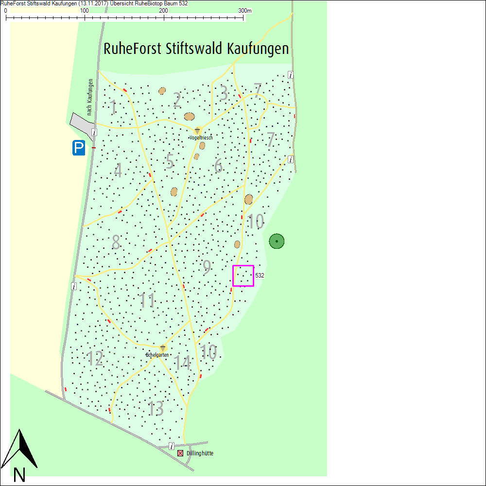 &Uuml;bersichtskarte zu Baum 532