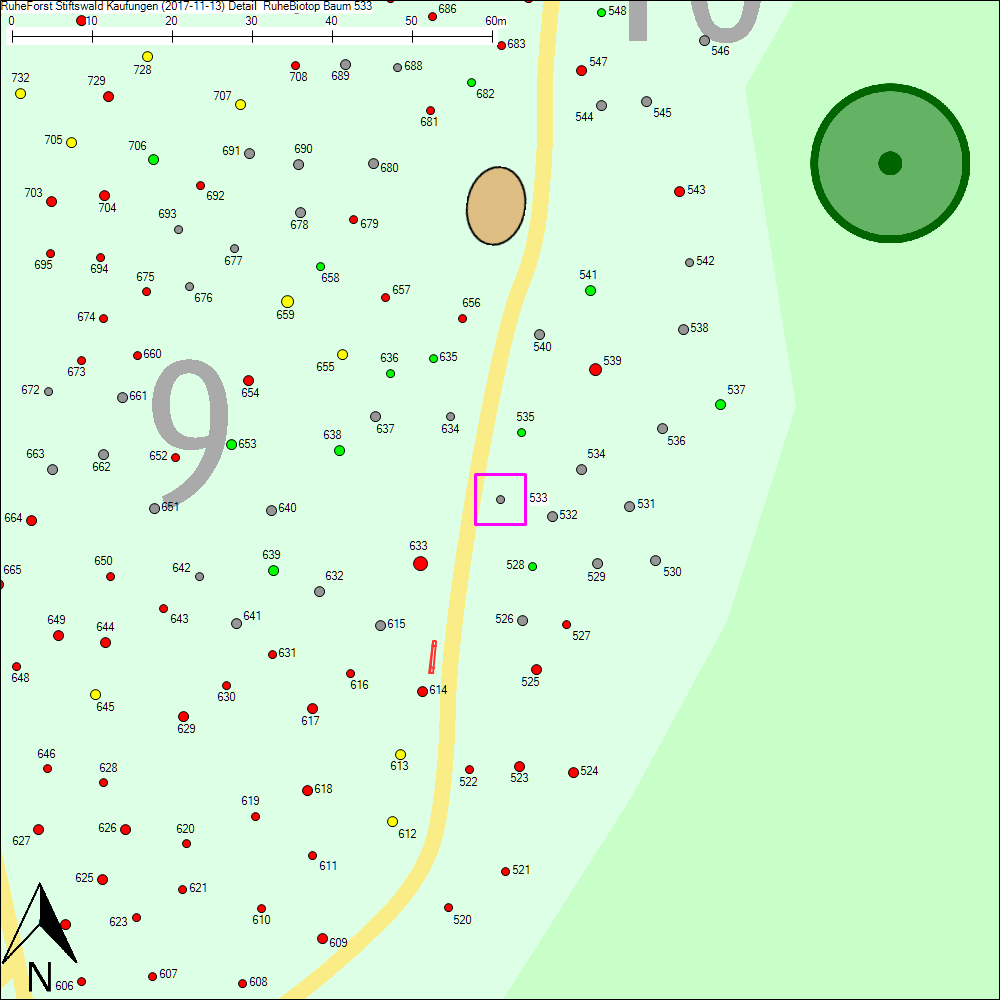 Detailkarte zu Baum 533