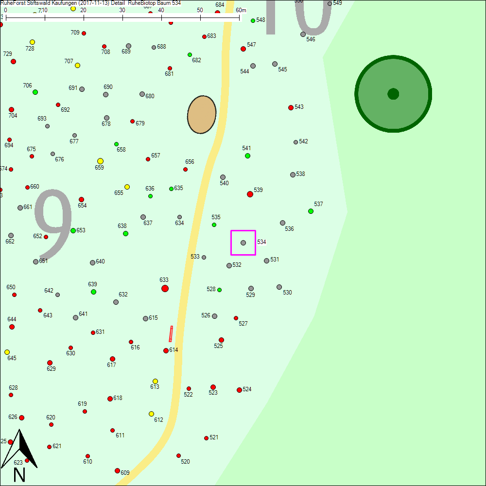 Detailkarte zu Baum 534