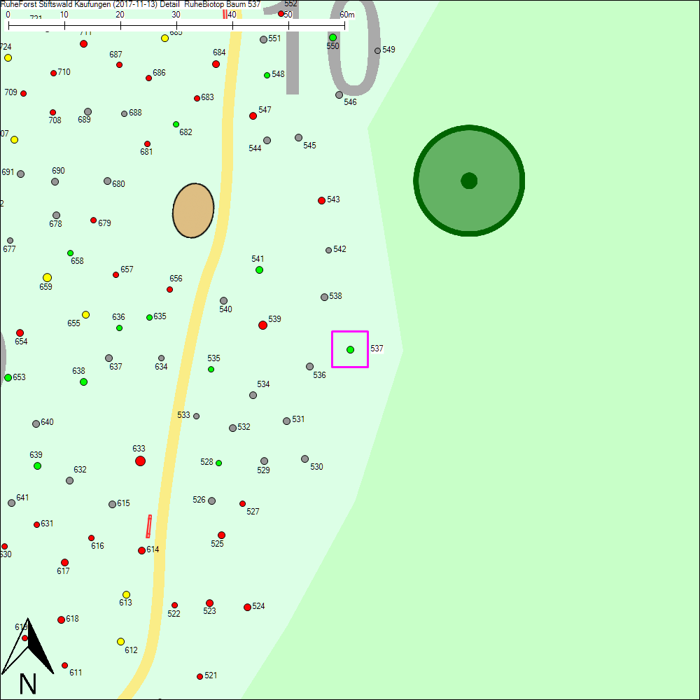 Detailkarte zu Baum 537