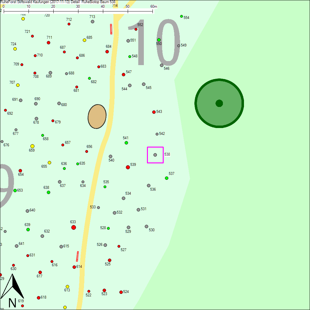 Detailkarte zu Baum 538