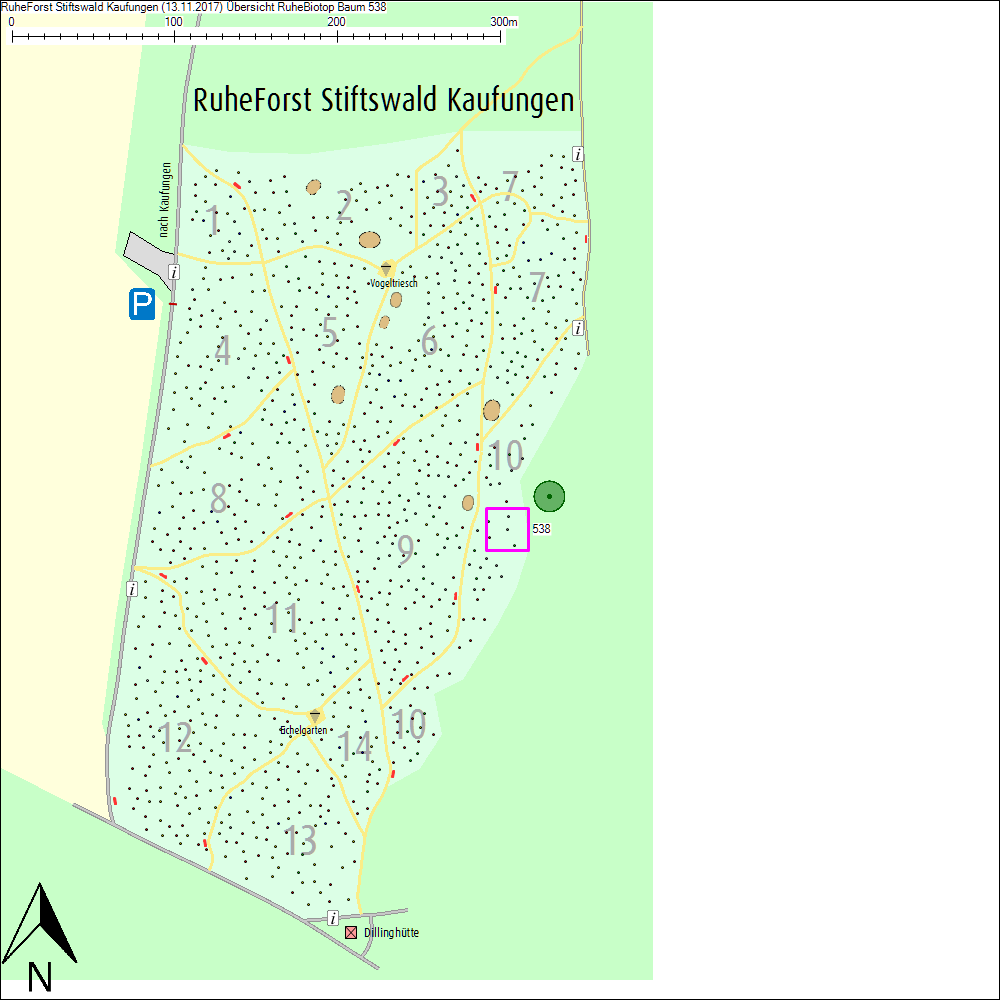 &Uuml;bersichtskarte zu Baum 538