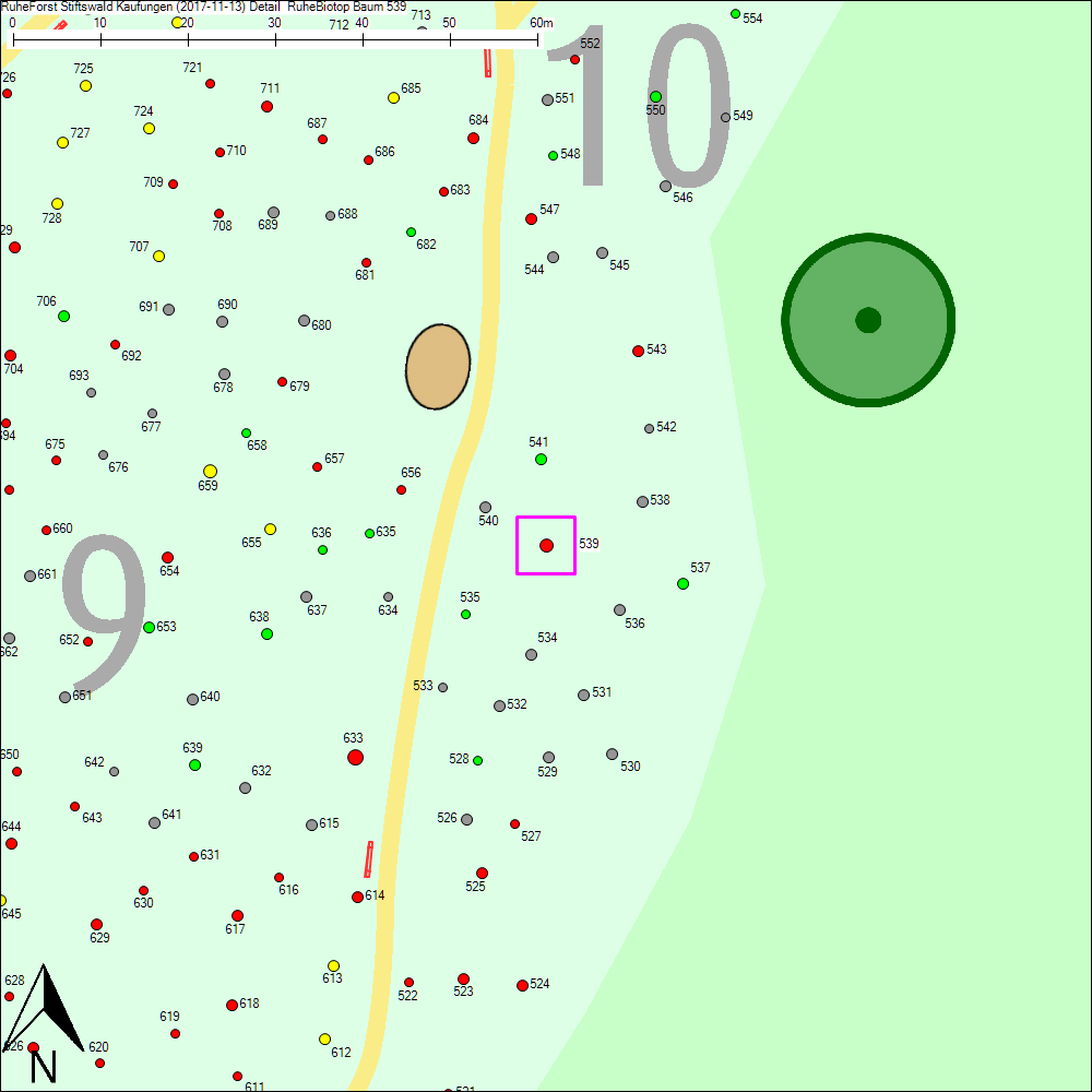 Detailkarte zu Baum 539
