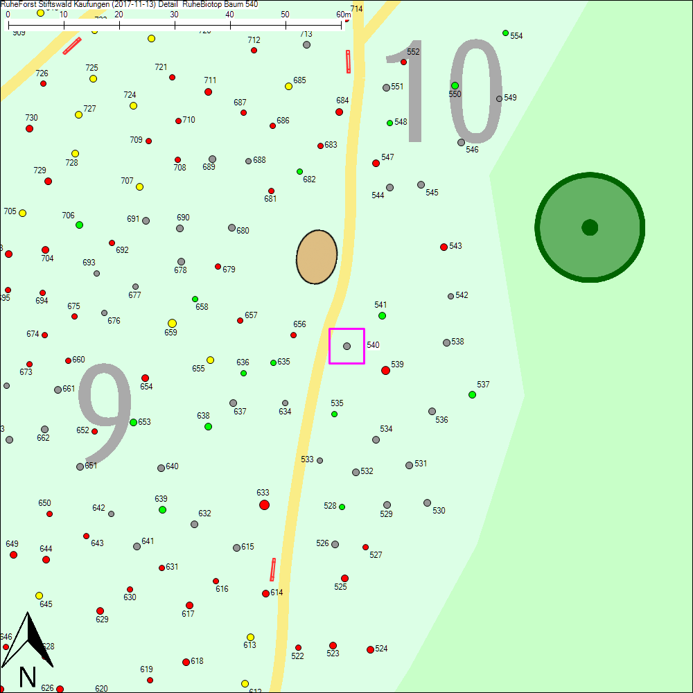 Detailkarte zu Baum 540