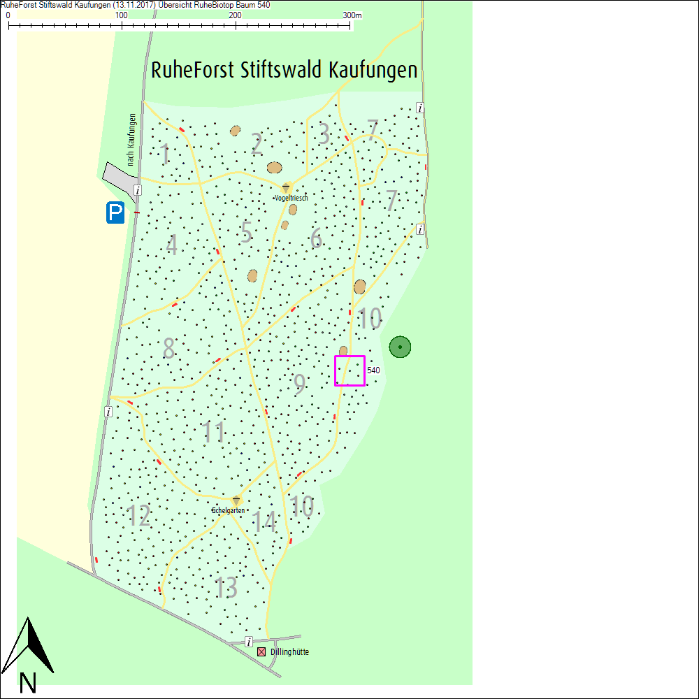 &Uuml;bersichtskarte zu Baum 540