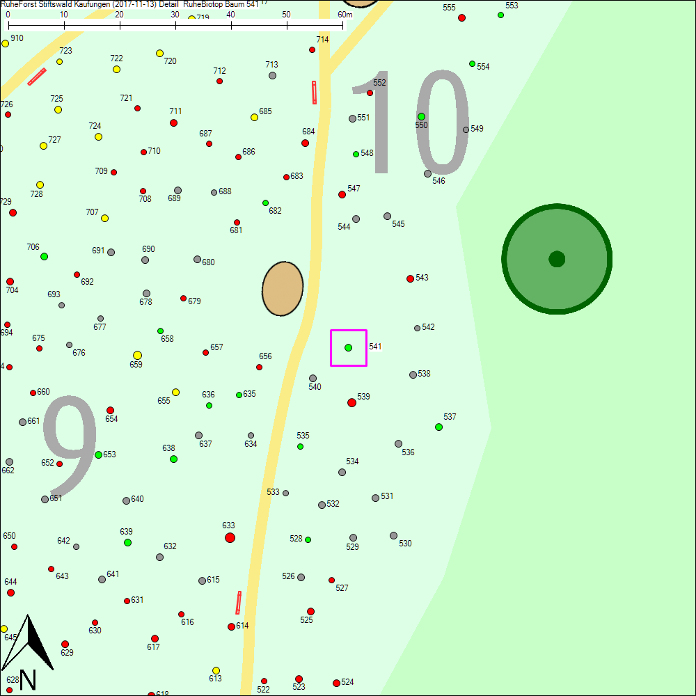 Detailkarte zu Baum 541