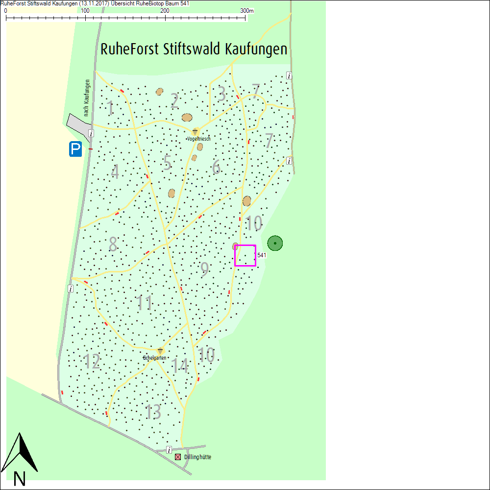 &Uuml;bersichtskarte zu Baum 541