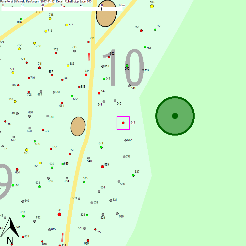 Detailkarte zu Baum 543