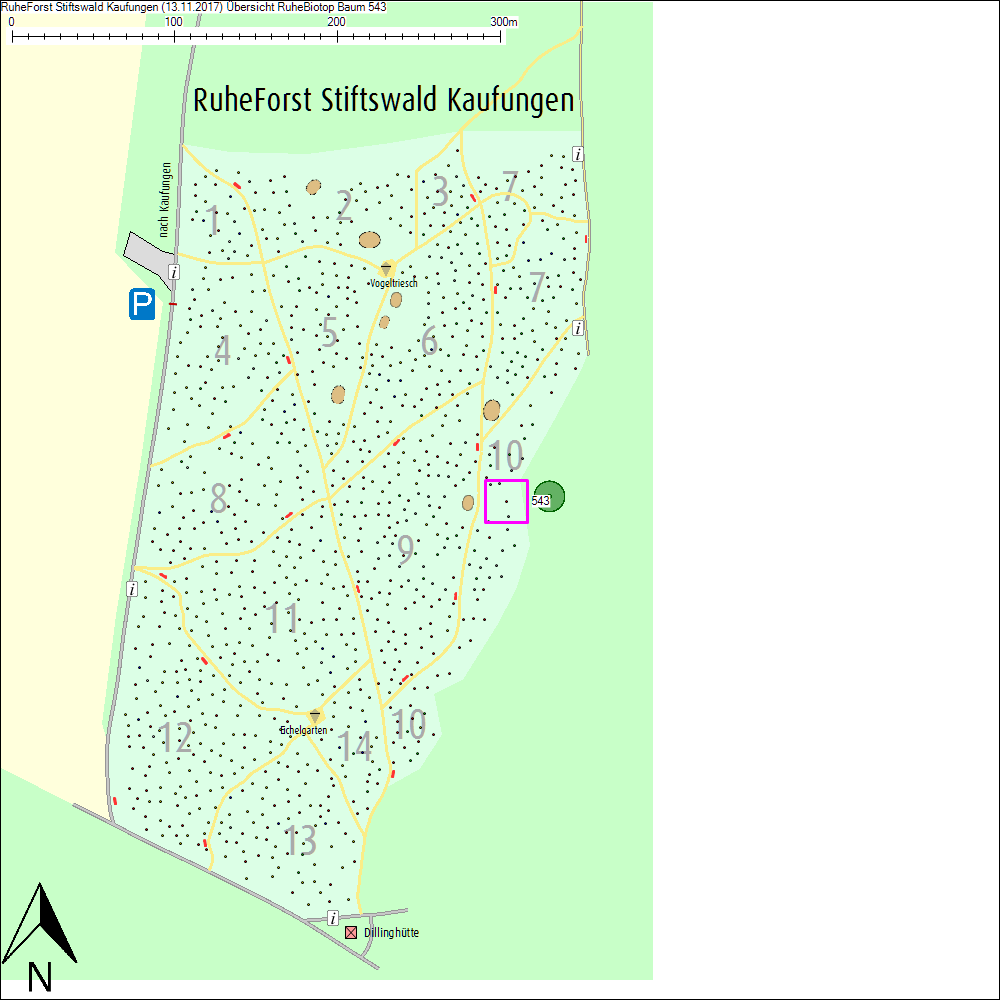 &Uuml;bersichtskarte zu Baum 543