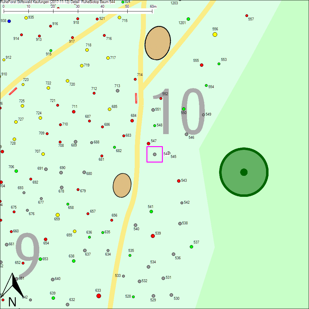 Detailkarte zu Baum 544