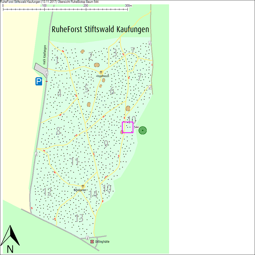 &Uuml;bersichtskarte zu Baum 544