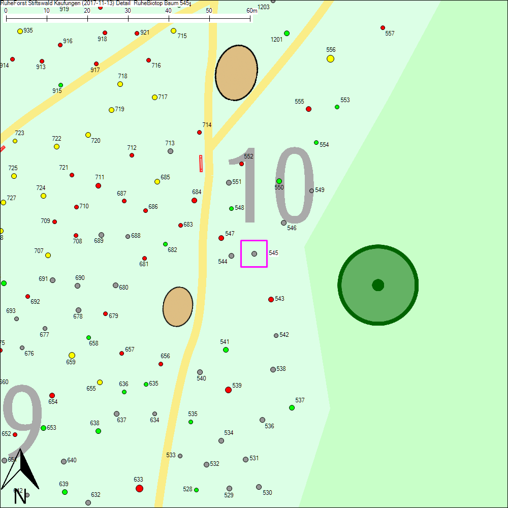 Detailkarte zu Baum 545