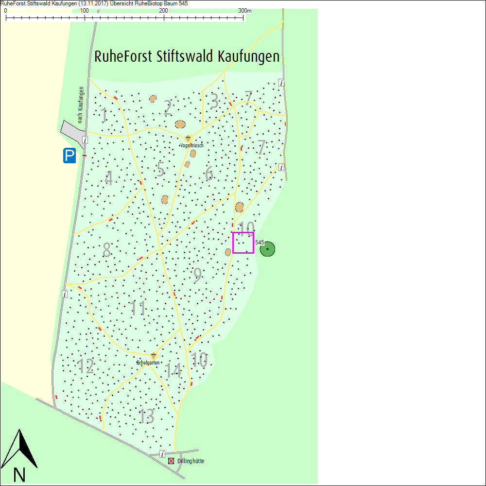 &Uuml;bersichtskarte zu Baum 545