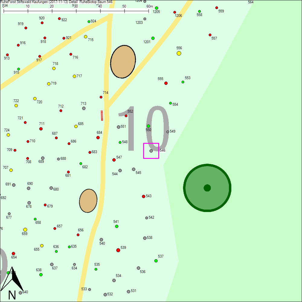 Detailkarte zu Baum 546