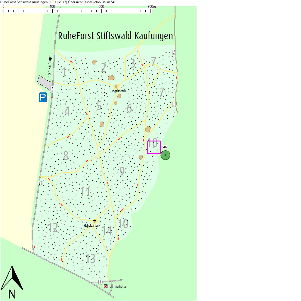 &Uuml;bersichtskarte zu Baum 546