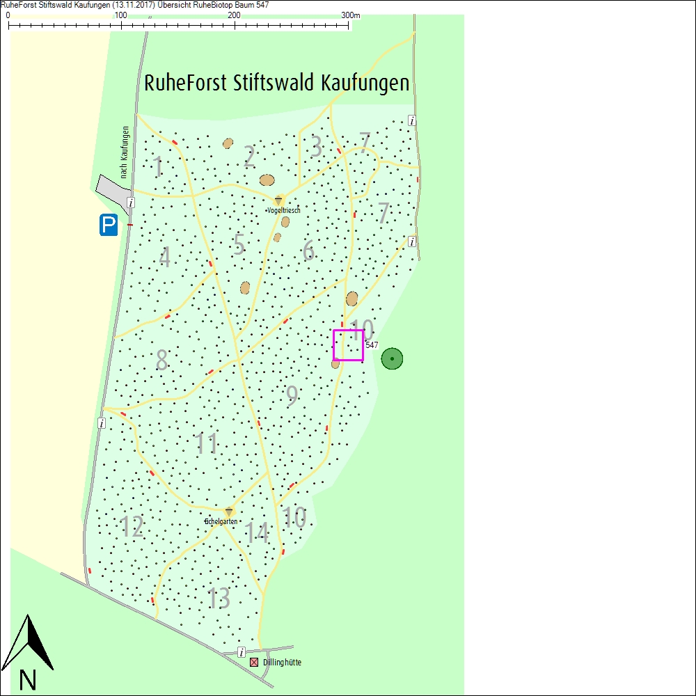 &Uuml;bersichtskarte zu Baum 547
