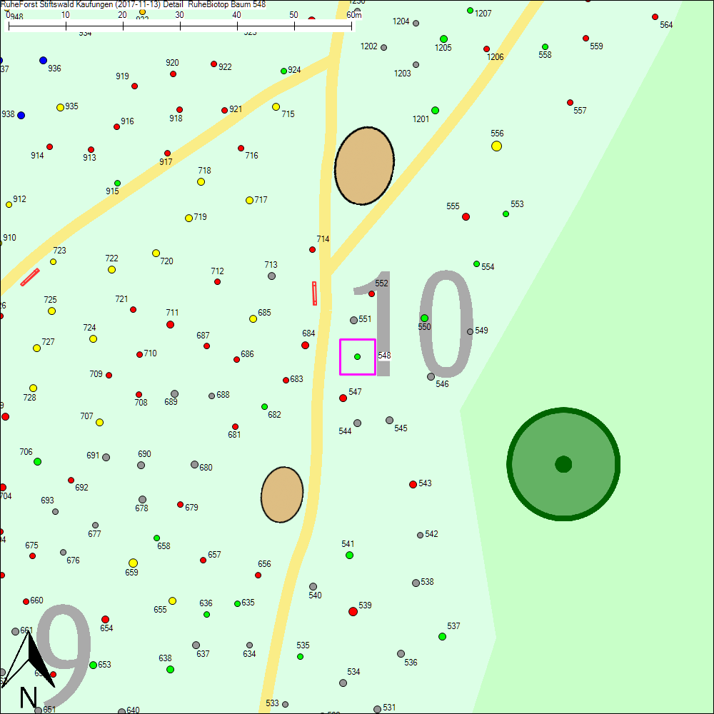 Detailkarte zu Baum 548