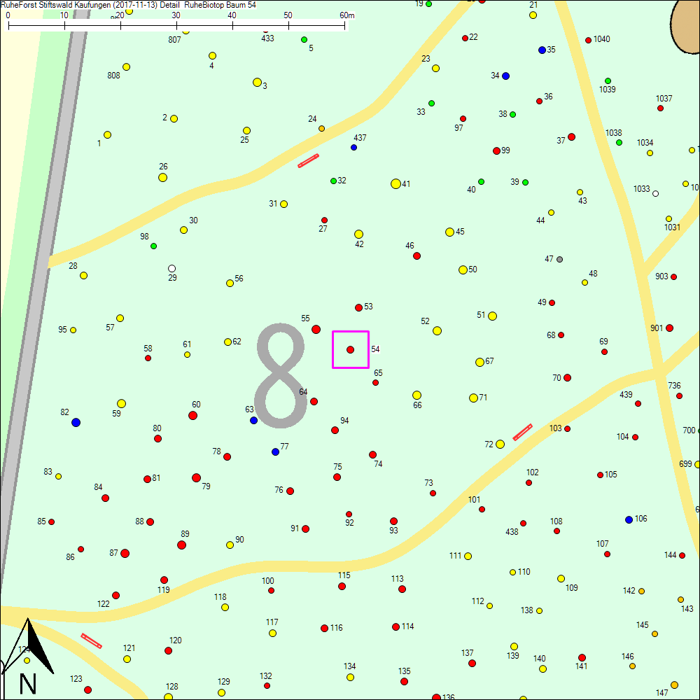 Detailkarte zu Baum 54