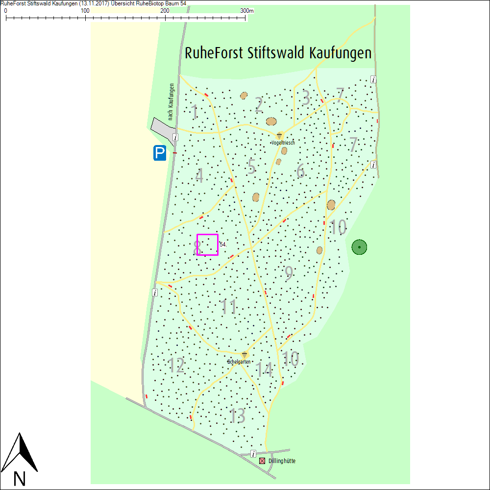 &Uuml;bersichtskarte zu Baum 54
