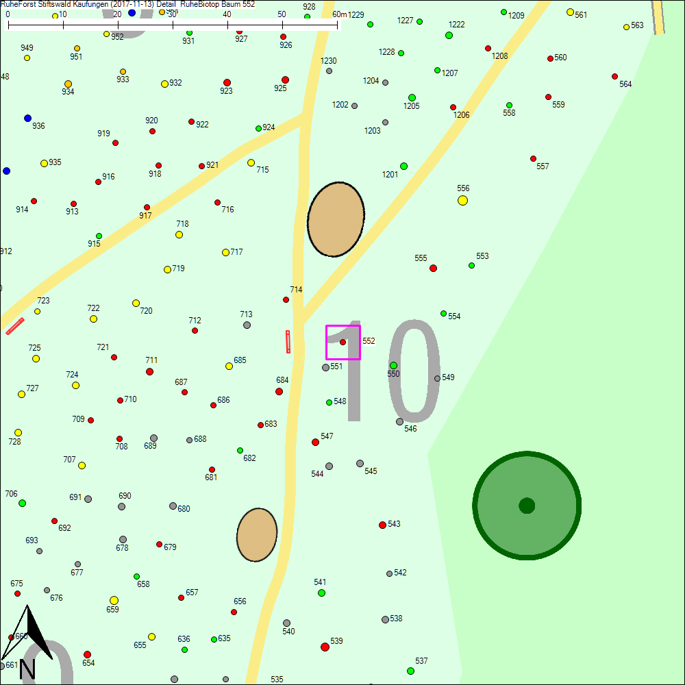 Detailkarte zu Baum 552