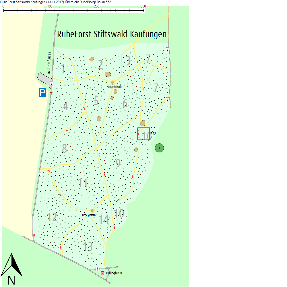 &Uuml;bersichtskarte zu Baum 552