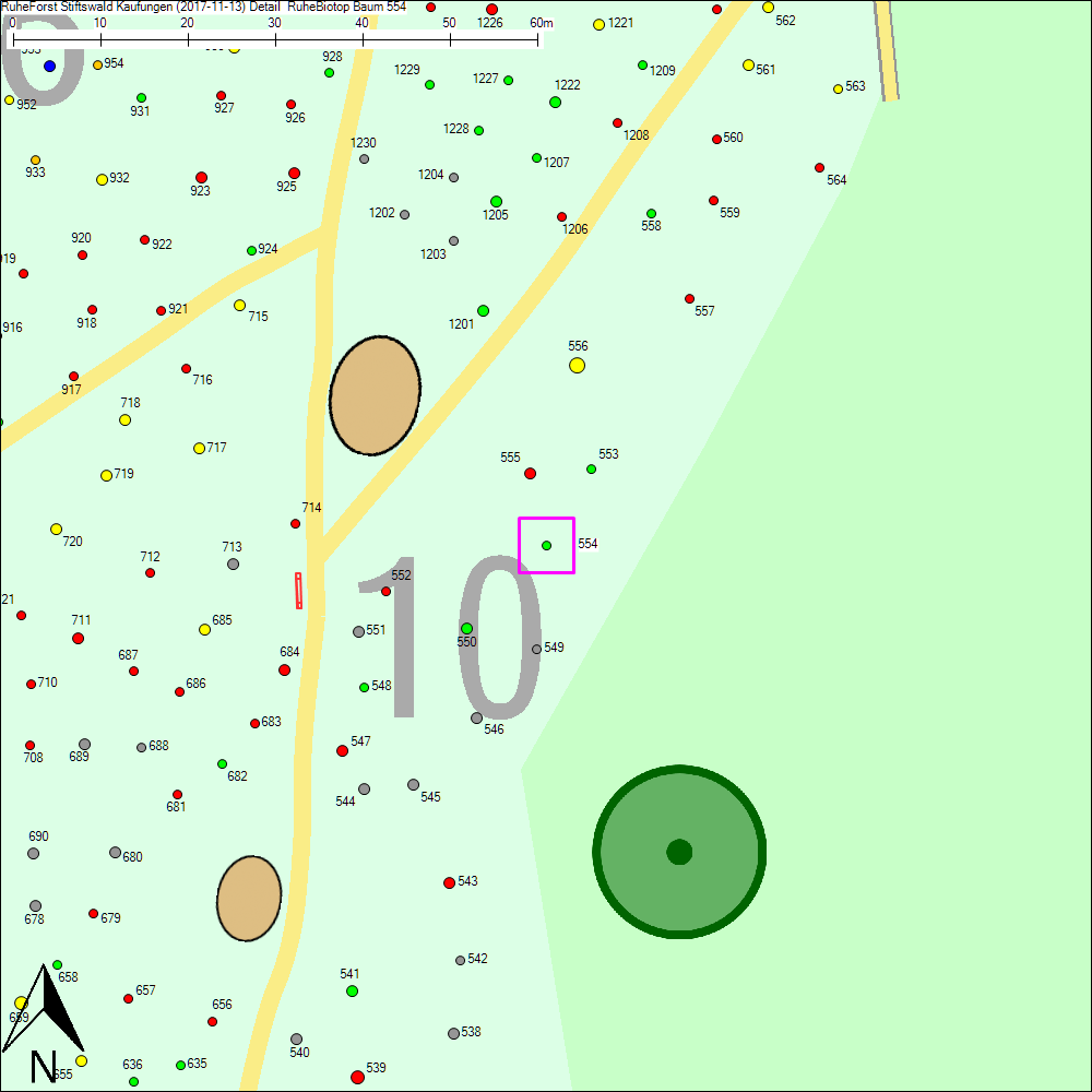 Detailkarte zu Baum 554