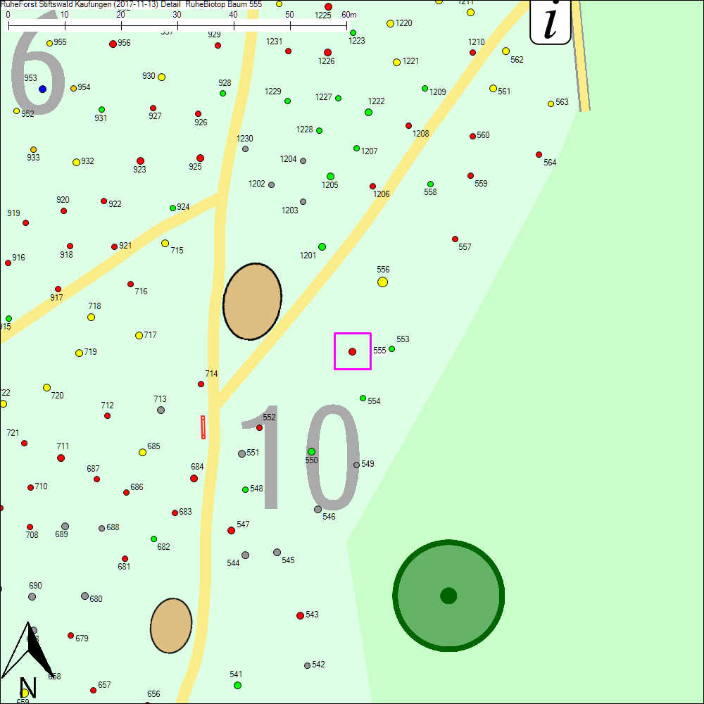 Detailkarte zu Baum 555