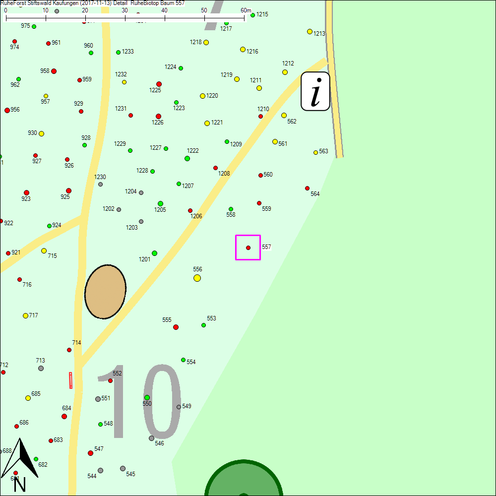 Detailkarte zu Baum 557