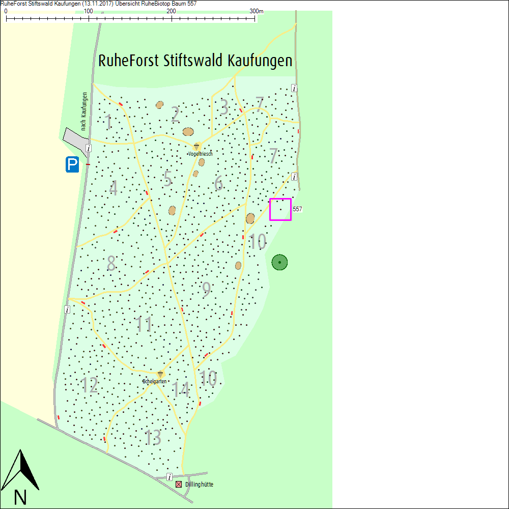 &Uuml;bersichtskarte zu Baum 557