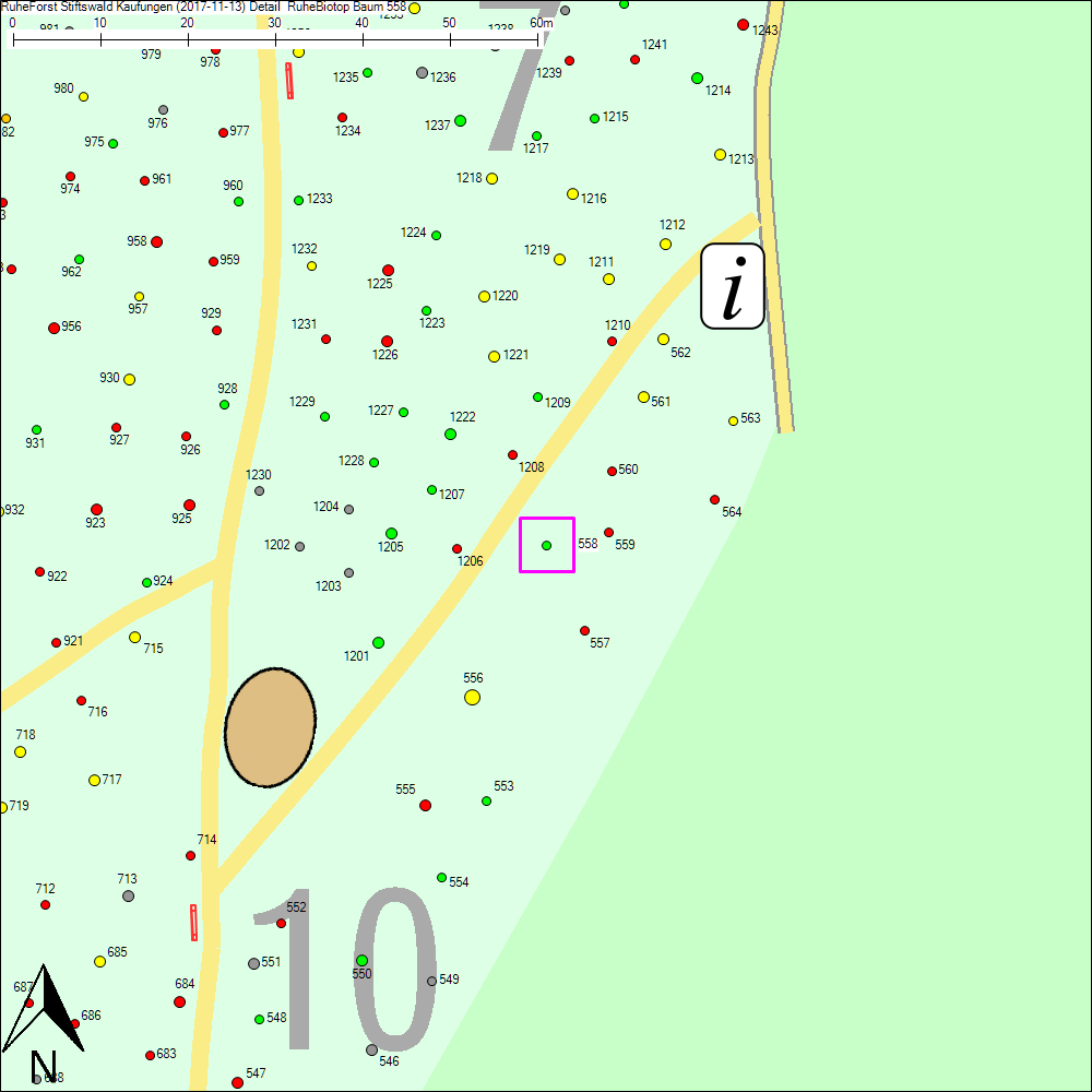 Detailkarte zu Baum 558