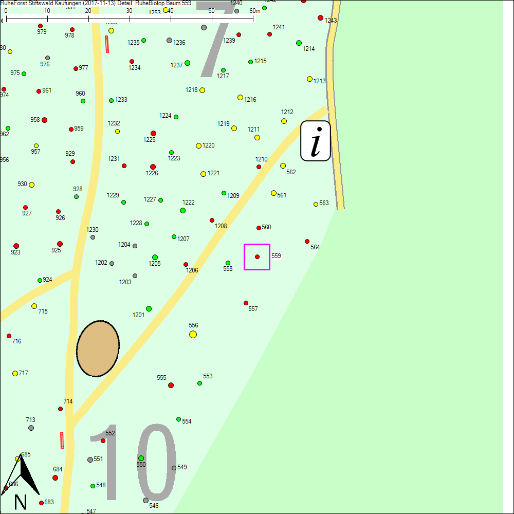 Detailkarte zu Baum 559