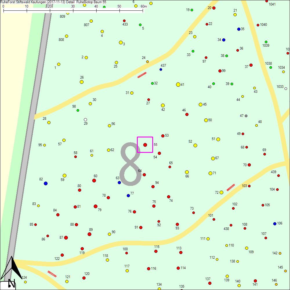 Detailkarte zu Baum 55