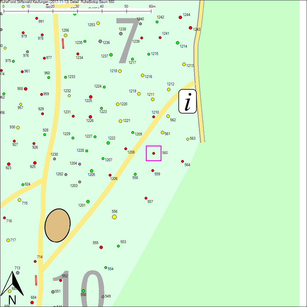 Detailkarte zu Baum 560