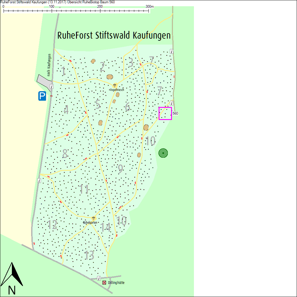 &Uuml;bersichtskarte zu Baum 560