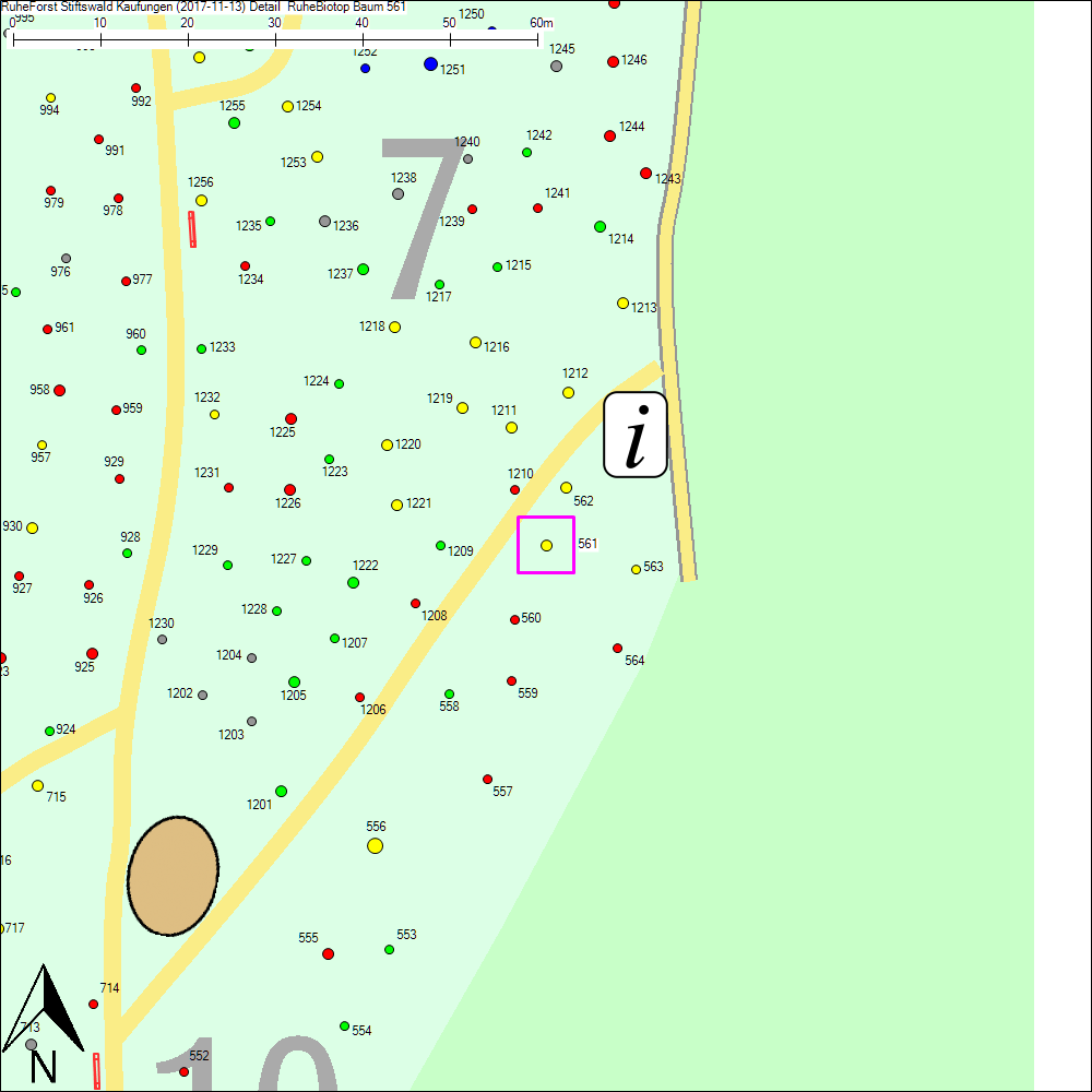 Detailkarte zu Baum 561