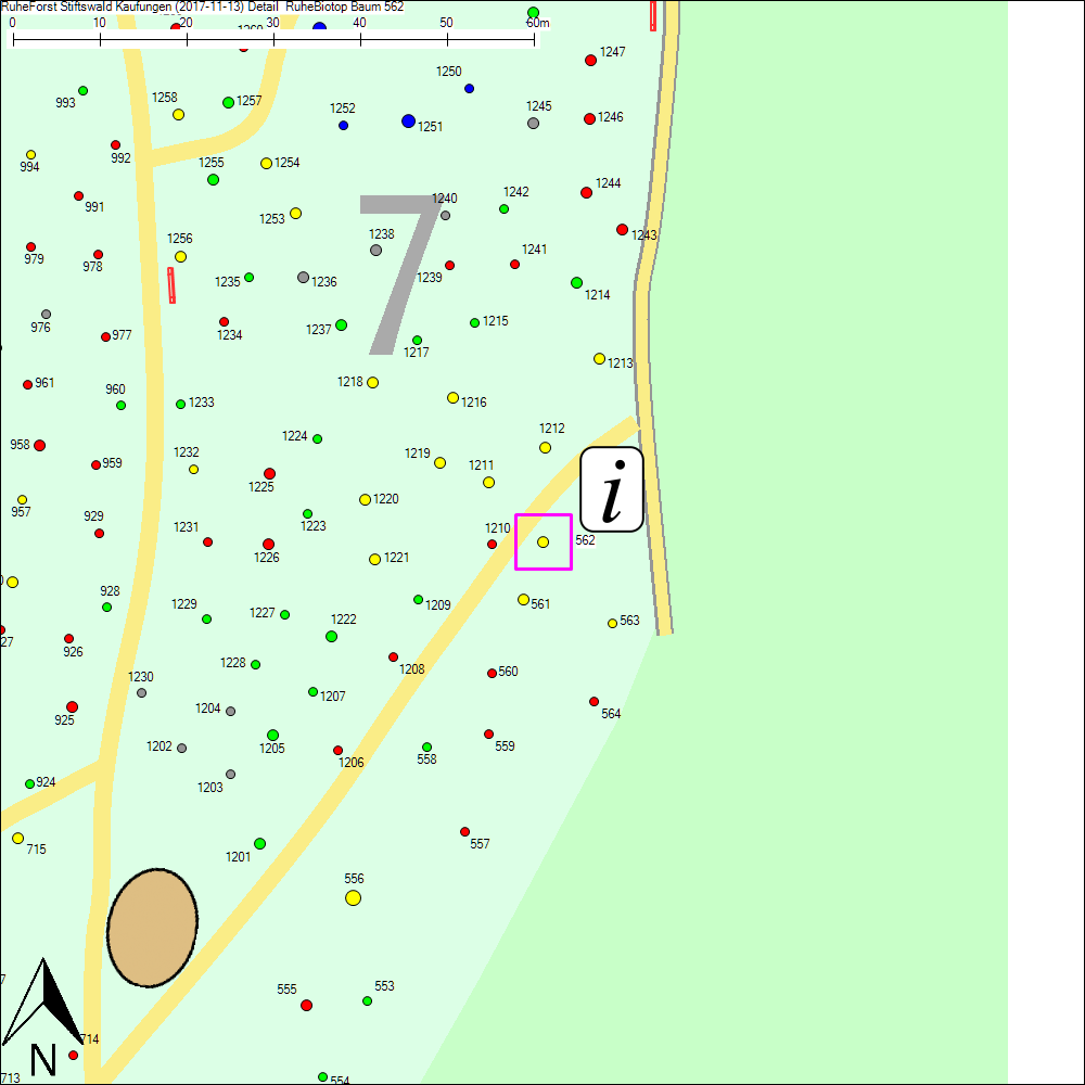 Detailkarte zu Baum 562