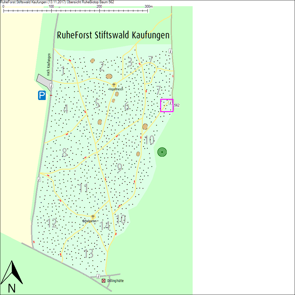 &Uuml;bersichtskarte zu Baum 562