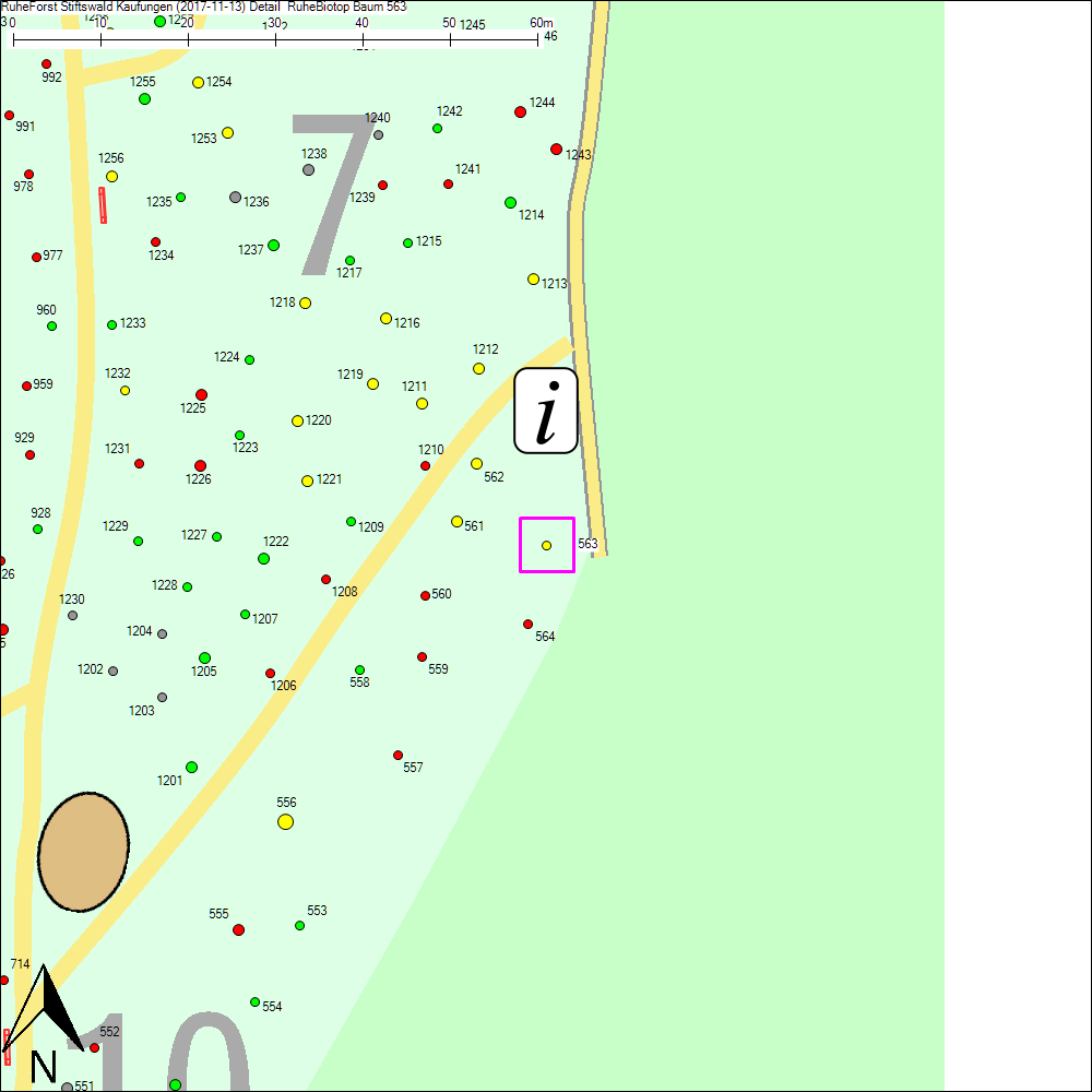 Detailkarte zu Baum 563