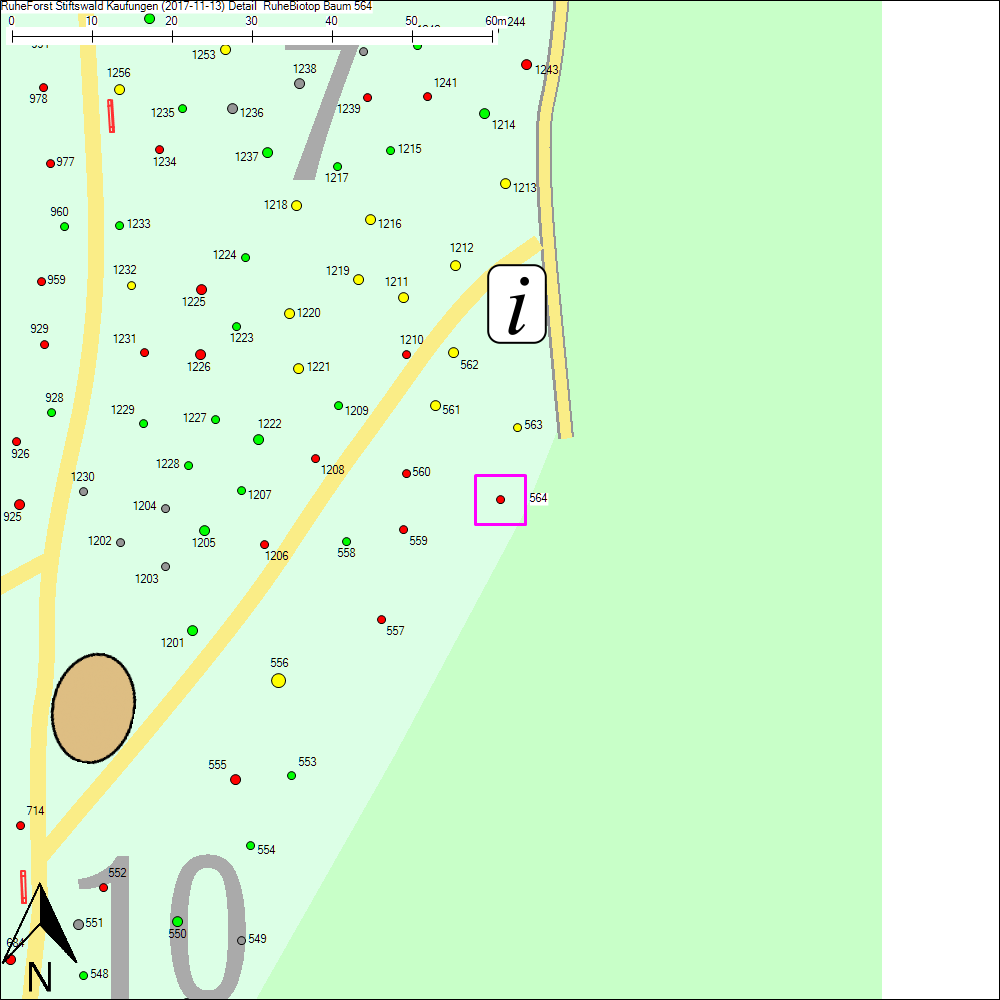Detailkarte zu Baum 564